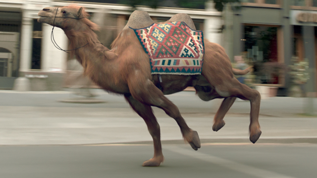 VW Camelrace