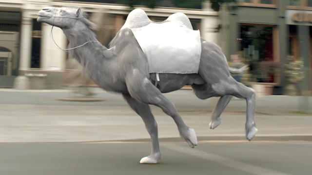 VW Camelrace