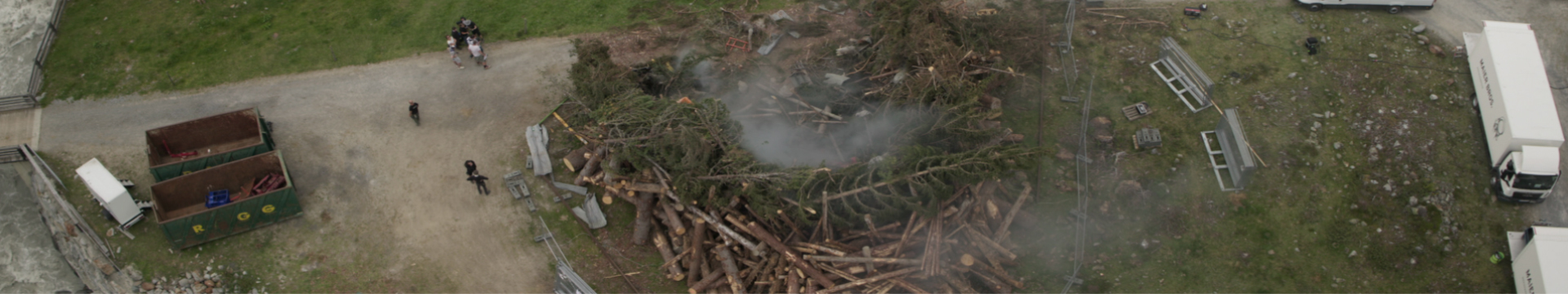 woodwalkers
